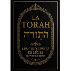 TORAH PRO MAX